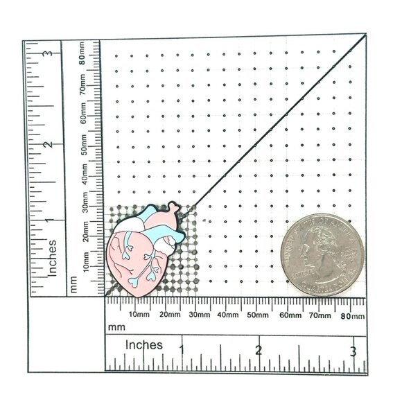 ⭐Anatomical Human Heart Shape Enamel Pin Brooch  Pink Blue Trans Heart Pride New - Picture 4 of 5